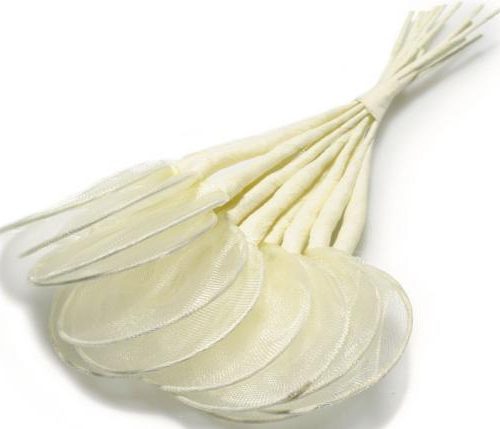 Portaconfetti-racchetta-ecru_380146