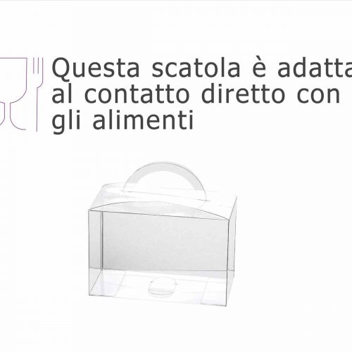 Scatola trasparente rettangolare con manico