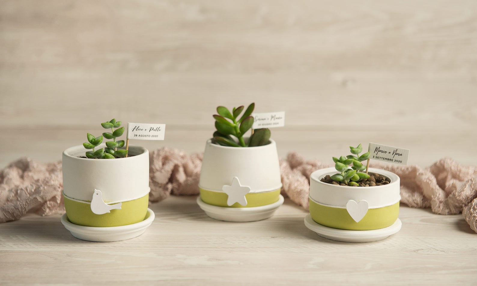 giftupstore Bomboniere per ospiti, 16 set di vasi per piante grasse con etichette in legno per regali di addio al nubilato, vaso in ceramica per bomboniere baby shower, elegante bomboniera di ritorno