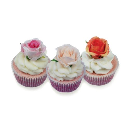 cupcake-bagno-BC052DB