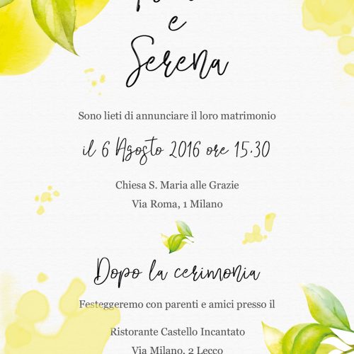 partecipazioni-limoni